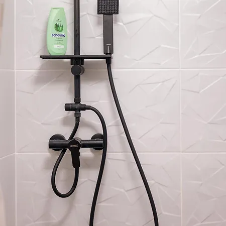 X Cosy Апартаменты Брашов