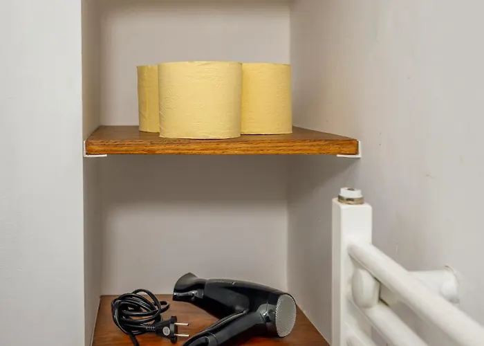 Apartment X Cosy Brasov